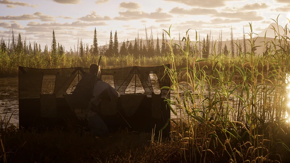 Wetland habitat with tall grass at dusk in Way of the Hunter 2