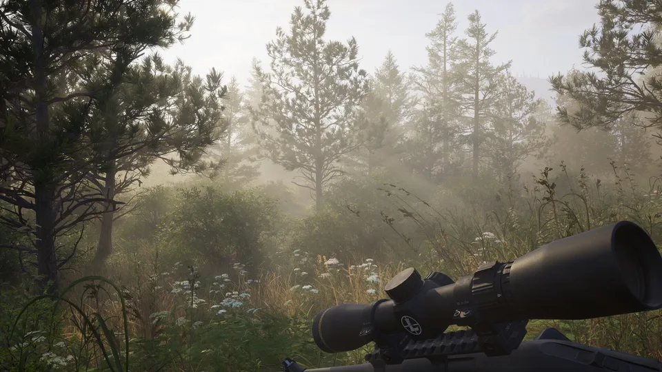 Hunter aiming a scoped rifle through a misty forest in Way of the Hunter 2